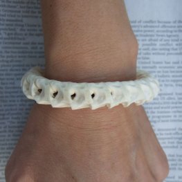 Ｌサイズヘビの骨製ブレスレット - ESB-50077