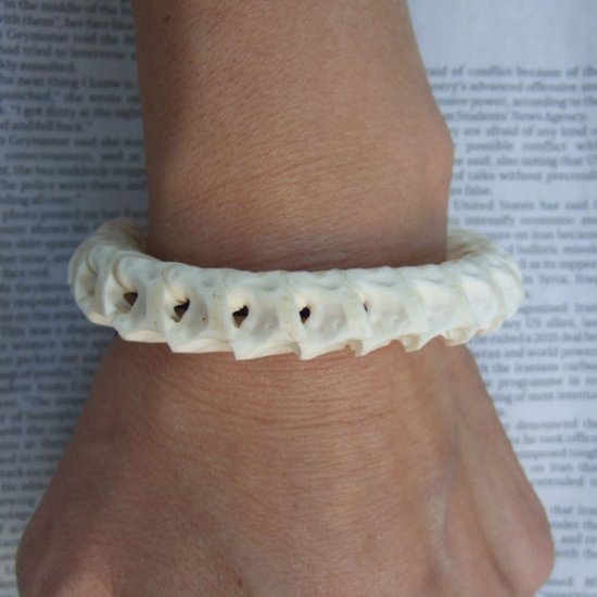 Ｌサイズヘビの骨製ブレスレット - ESB-50077