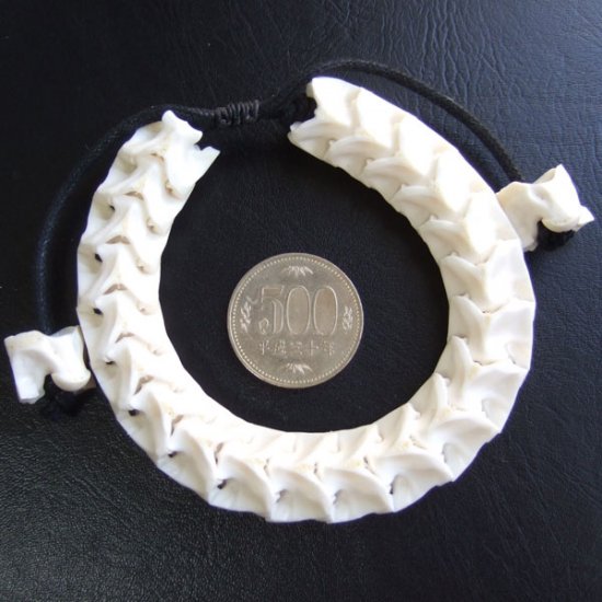 Ｌサイズヘビの骨製ブレスレット - ESB-50077