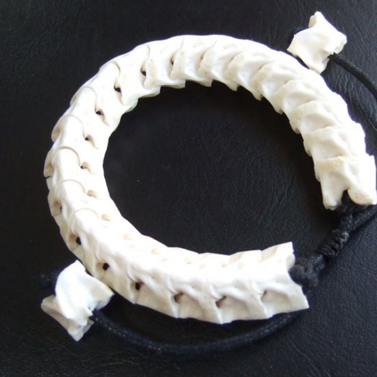 Ｌサイズヘビの骨製ブレスレット - ESB-50077