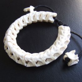 Ｌサイズヘビの骨製ブレスレット - ESB-50077