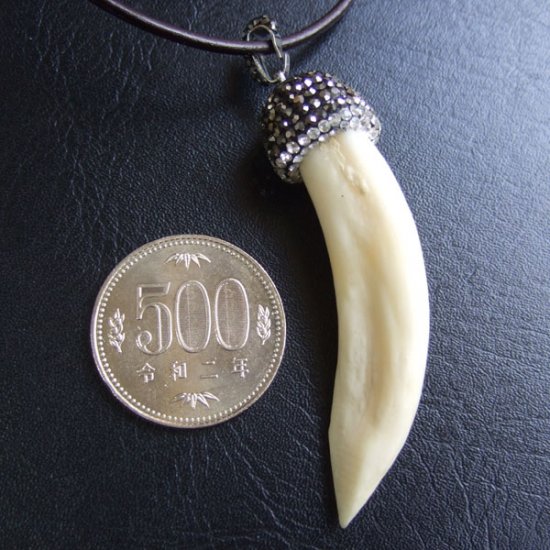 表示現品】イノシシの牙ペンダント - FBT-50080 [FBT-50080] - 5,400円