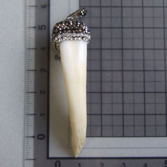 【表示現品】イノシシの牙ペンダント - FBT-50080