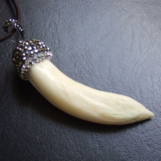 【表示現品】イノシシの牙ペンダント - FBT-50080