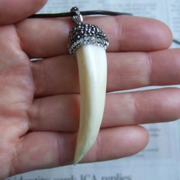 【表示現品】イノシシの牙ペンダント - FBT-50080