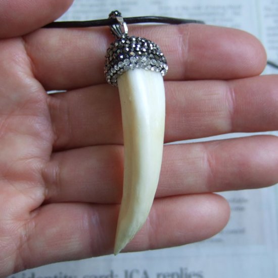 表示現品】イノシシの牙ペンダント - FBT-50080 [FBT-50080] - 5,400円