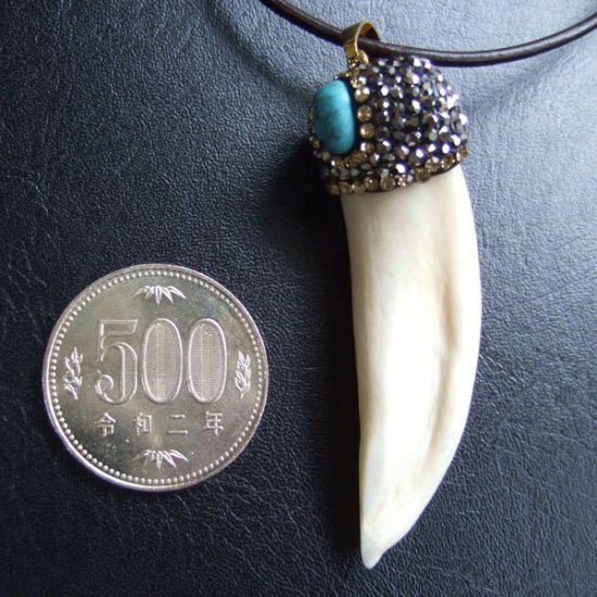 【表示現品】イノシシの牙ペンダント - FBT-50084