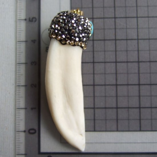 【表示現品】イノシシの牙ペンダント - FBT-50084