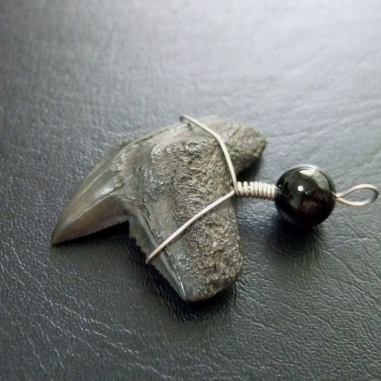 【大型】イタチザメの歯（化石）ペンダント【現品】 - 30001zhb