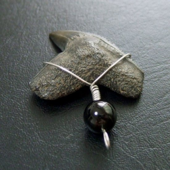 【大型】イタチザメの歯（化石）ペンダント【現品】 - 30001zhb