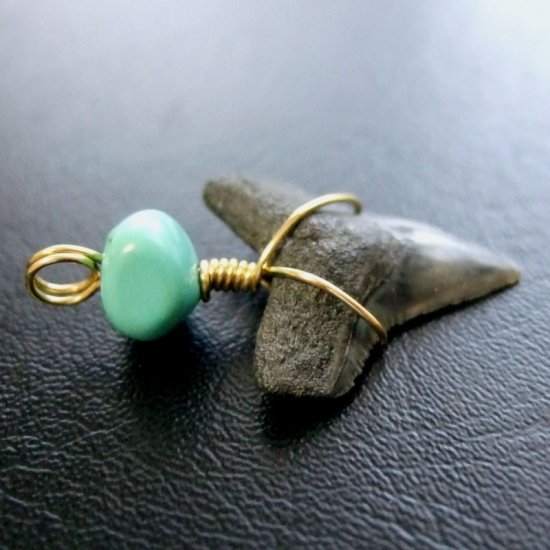 メジロザメの歯（化石）ペンダント【現品】 - 30059ecb