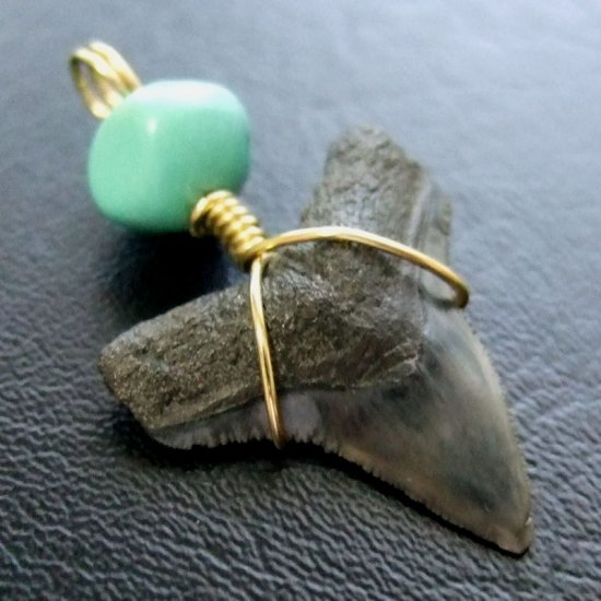 メジロザメの歯（化石）ペンダント【現品】 - 30059ecb