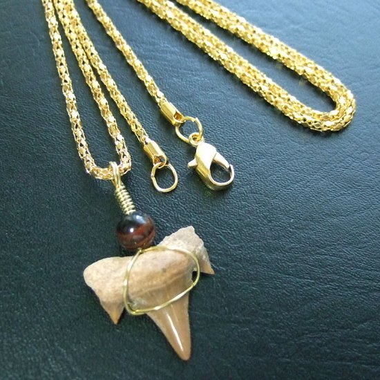 サメの歯化石 ワイヤーラップペンダント【現品】 - 30063zhd