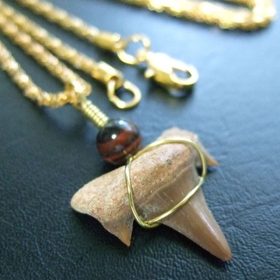 サメの歯化石 ワイヤーラップペンダント【現品】 - 30063zhd