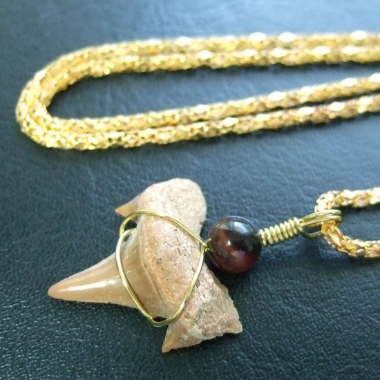 サメの歯化石 ワイヤーラップペンダント【現品】 - 30063zhd