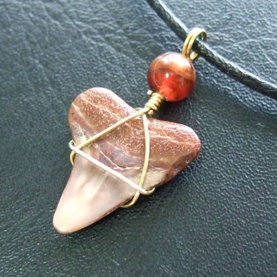 ザメの歯（化石）ペンダント【現品】 - 30093ehc