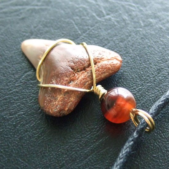 ザメの歯（化石）ペンダント【現品】 - 30093ehc