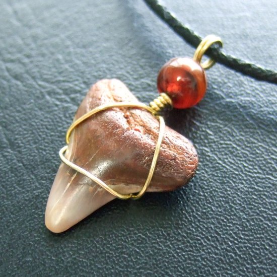 ザメの歯（化石）ペンダント【現品】 - 30093ehc