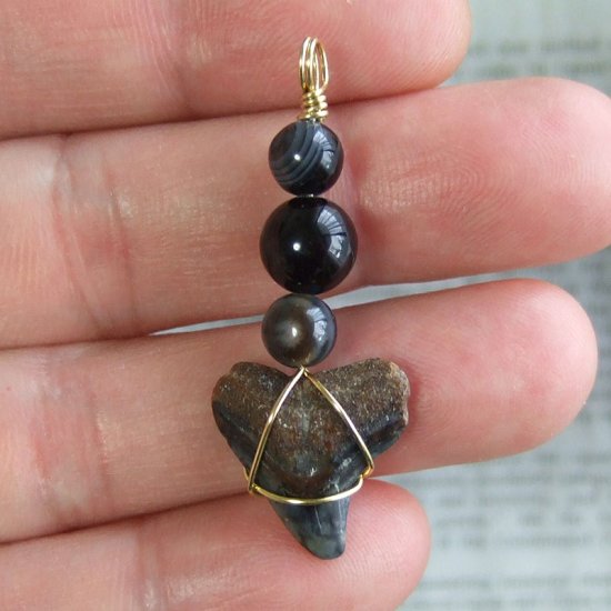 ザメの歯（化石）ペンダント【現品】 - 30095ehc