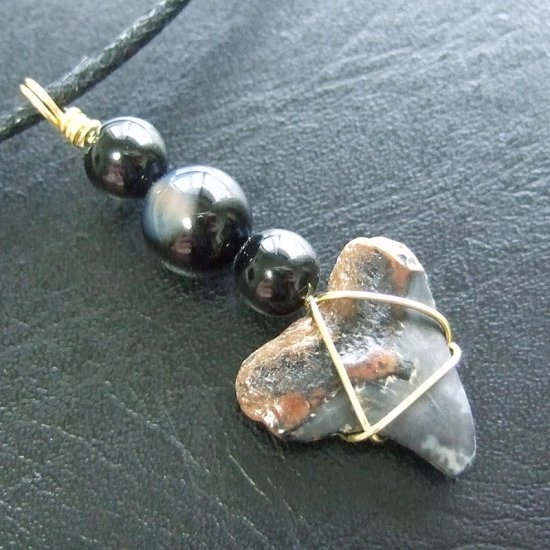 ザメの歯（化石）ペンダント【現品】 - 30095ehc