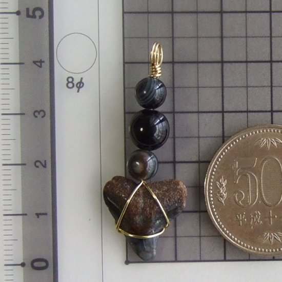 ザメの歯（化石）ペンダント【現品】 - 30095ehc