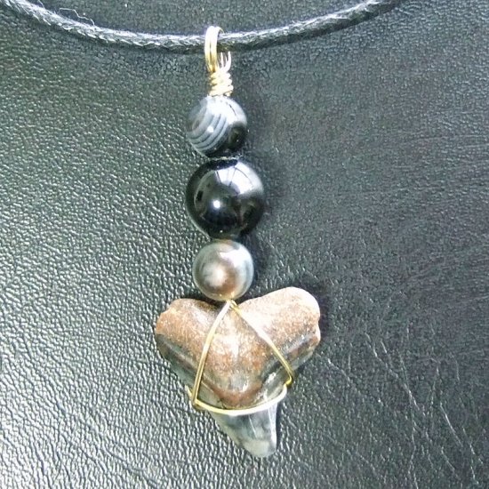 ザメの歯（化石）ペンダント【現品】 - 30095ehc