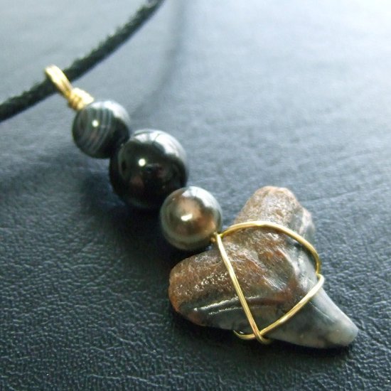 ザメの歯（化石）ペンダント【現品】 - 30095ehc