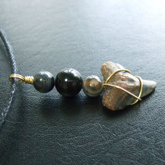 ザメの歯（化石）ペンダント【現品】 - 30095ehc