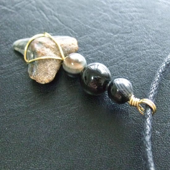 ザメの歯（化石）ペンダント【現品】 - 30095ehc