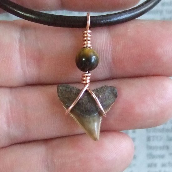 ザメの歯（化石）ペンダント【現品】 - 30106zhc