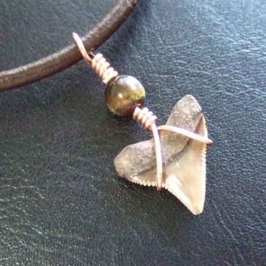 ザメの歯（化石）ペンダント【現品】 - 30106zhc