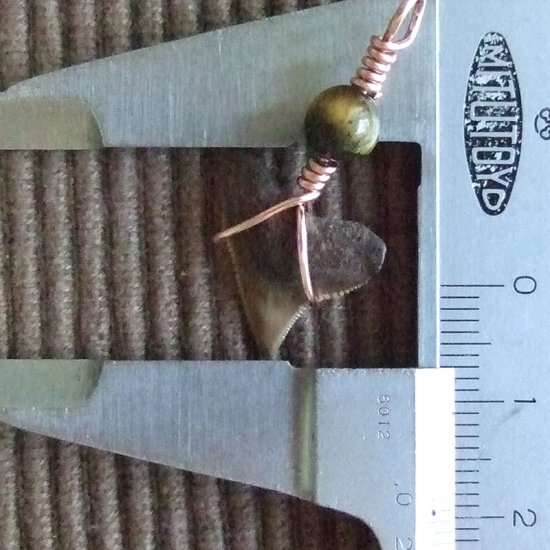 ザメの歯（化石）ペンダント【現品】 - 30106zhc