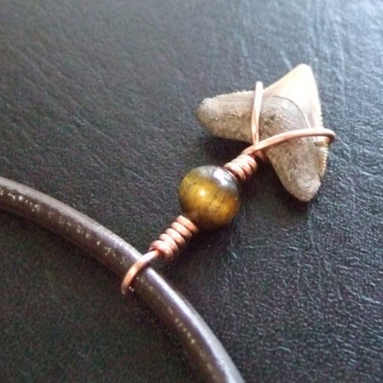 ザメの歯（化石）ペンダント【現品】 - 30106zhc