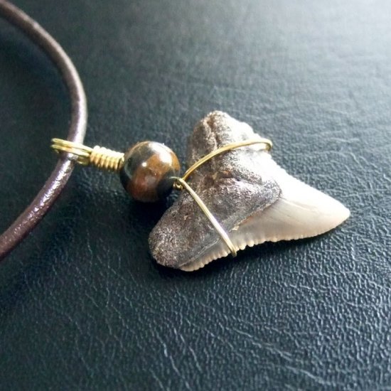 小さなサメの歯化石（メジロザメ）ペンダント【現品】 - 30110zhc