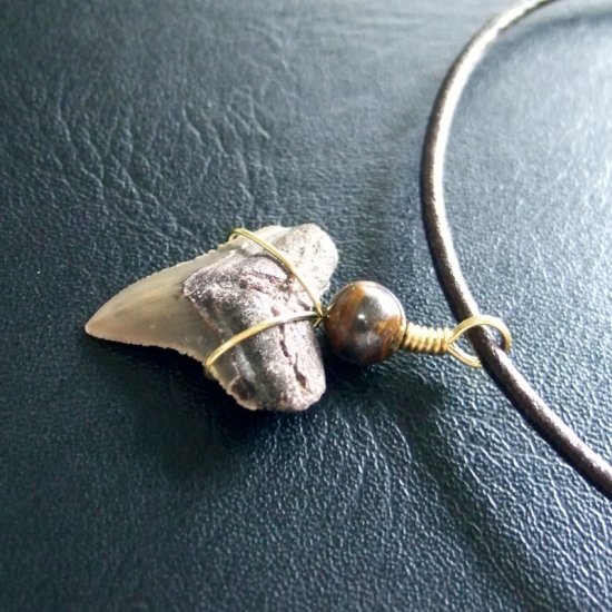 小さなサメの歯化石（メジロザメ）ペンダント【現品】 - 30110zhc