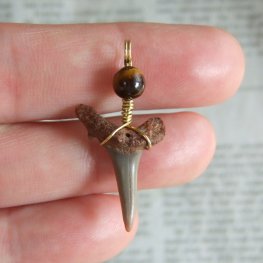 小さなサメの歯化石(シロワニ)ペンダント【現品】 - 30111zhc  小さなサメの歯化石(シロワニ)ペンダント【現品】 - 30111zhc