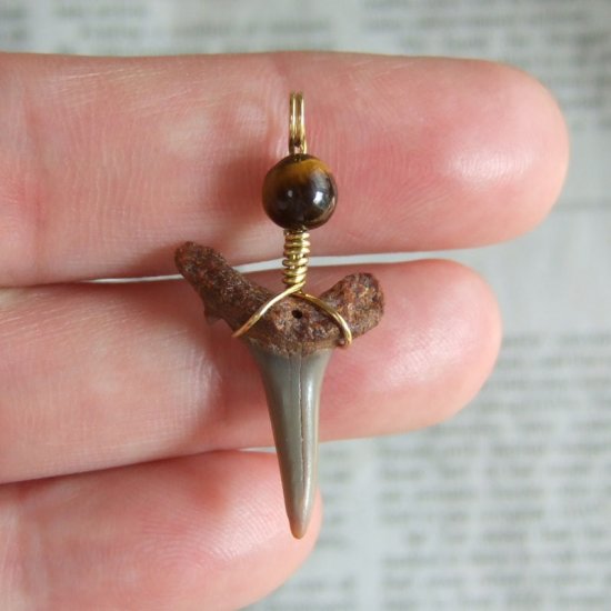 小さなサメの歯化石（シロワニ）ペンダント【現品】 - 30111zhc