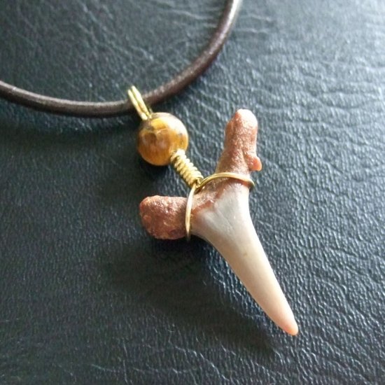 小さなサメの歯化石（シロワニ）ペンダント【現品】 - 30111zhc