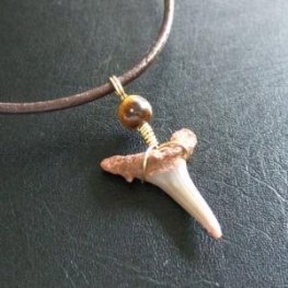小さなサメの歯化石(シロワニ)ペンダント【現品】 - 30111zhc  小さなサメの歯化石(シロワニ)ペンダント【現品】 - 30111zhc
