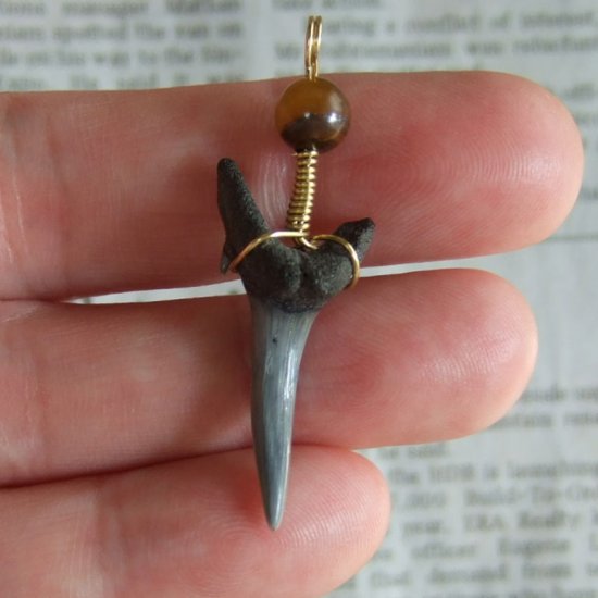 小さなサメの歯化石（シロワニ）ペンダント【現品】 - 30112zhc