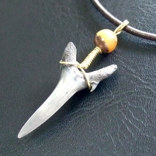 小さなサメの歯化石（シロワニ）ペンダント【現品】 - 30112zhc