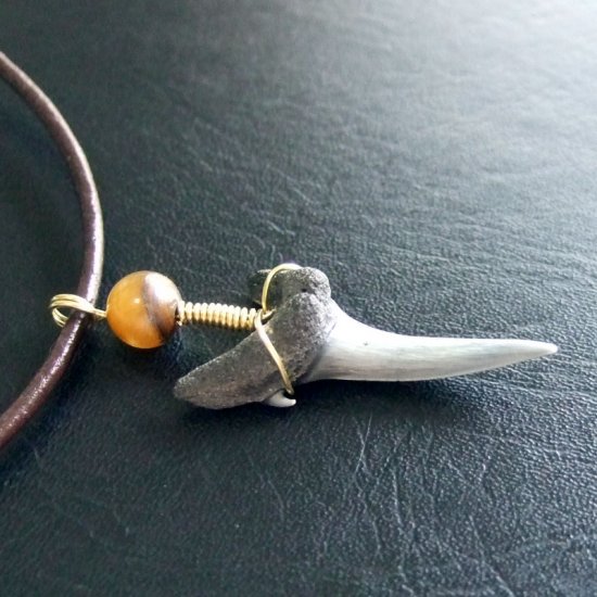 小さなサメの歯化石（シロワニ）ペンダント【現品】 - 30112zhc