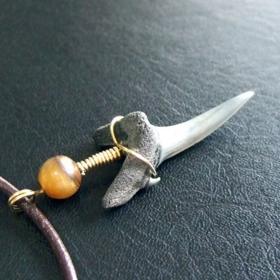 小さなサメの歯化石（シロワニ）ペンダント【現品】 - 30112zhc