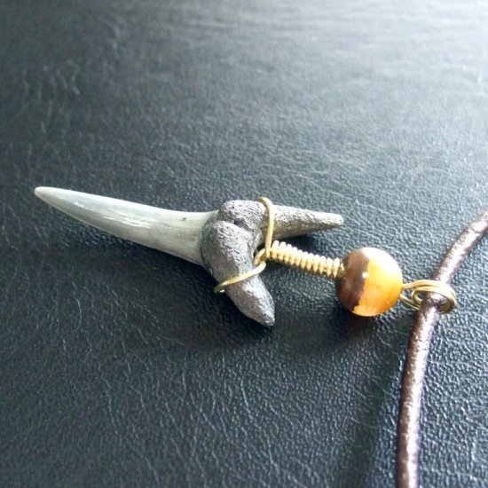 小さなサメの歯化石（シロワニ）ペンダント【現品】 - 30112zhc