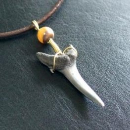 小さなサメの歯化石(シロワニ)ペンダント【現品】 - 30112zhc  小さなサメの歯化石(シロワニ)ペンダント【現品】 - 30112zhc