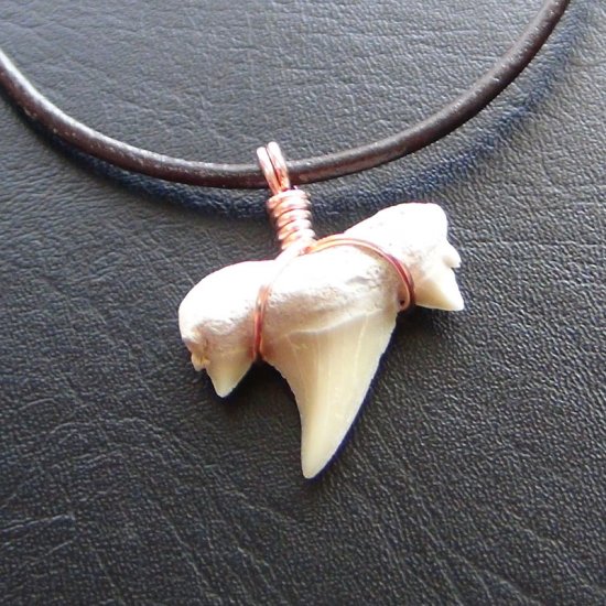 【表示現品】本物のサメの歯化石ペンダントトップ 2.4 cm - 30127zhc