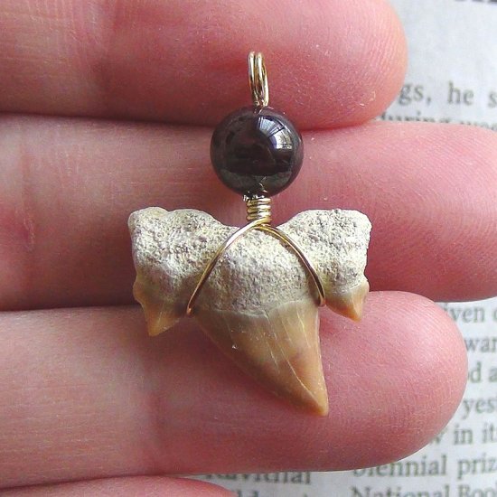 【表示現品】本物のサメの歯化石ペンダントトップ 2.4 cm - 30131zhc