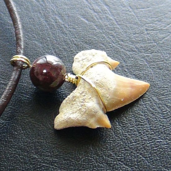 【表示現品】本物のサメの歯化石ペンダントトップ 2.4 cm - 30131zhc