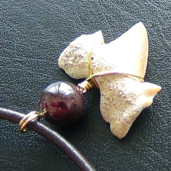 【表示現品】本物のサメの歯化石ペンダントトップ 2.4 cm - 30131zhc