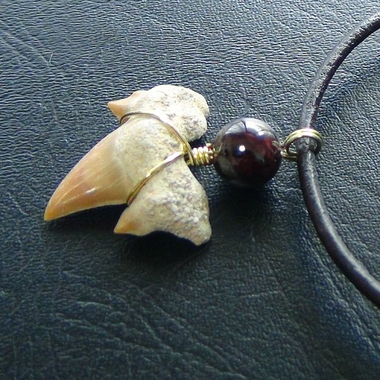 【表示現品】本物のサメの歯化石ペンダントトップ 2.4 cm - 30131zhc